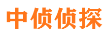 武冈婚外情调查